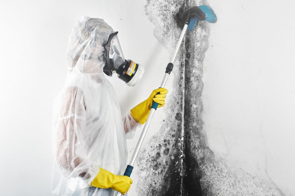 When Is Mold Remediation Required in a Home?