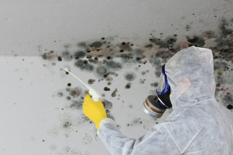 how-much-does-mold-remediation-usually-cost-kleen-breeze-inc