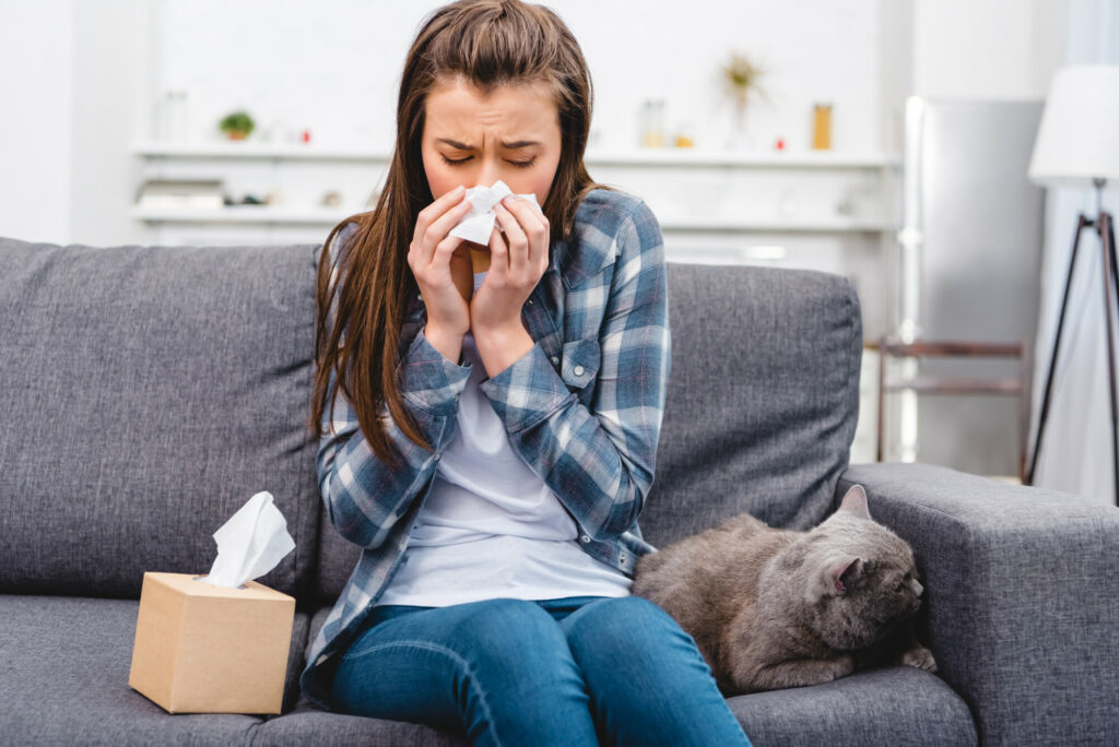 your-home-health-guide-how-to-prevent-allergies-at-home