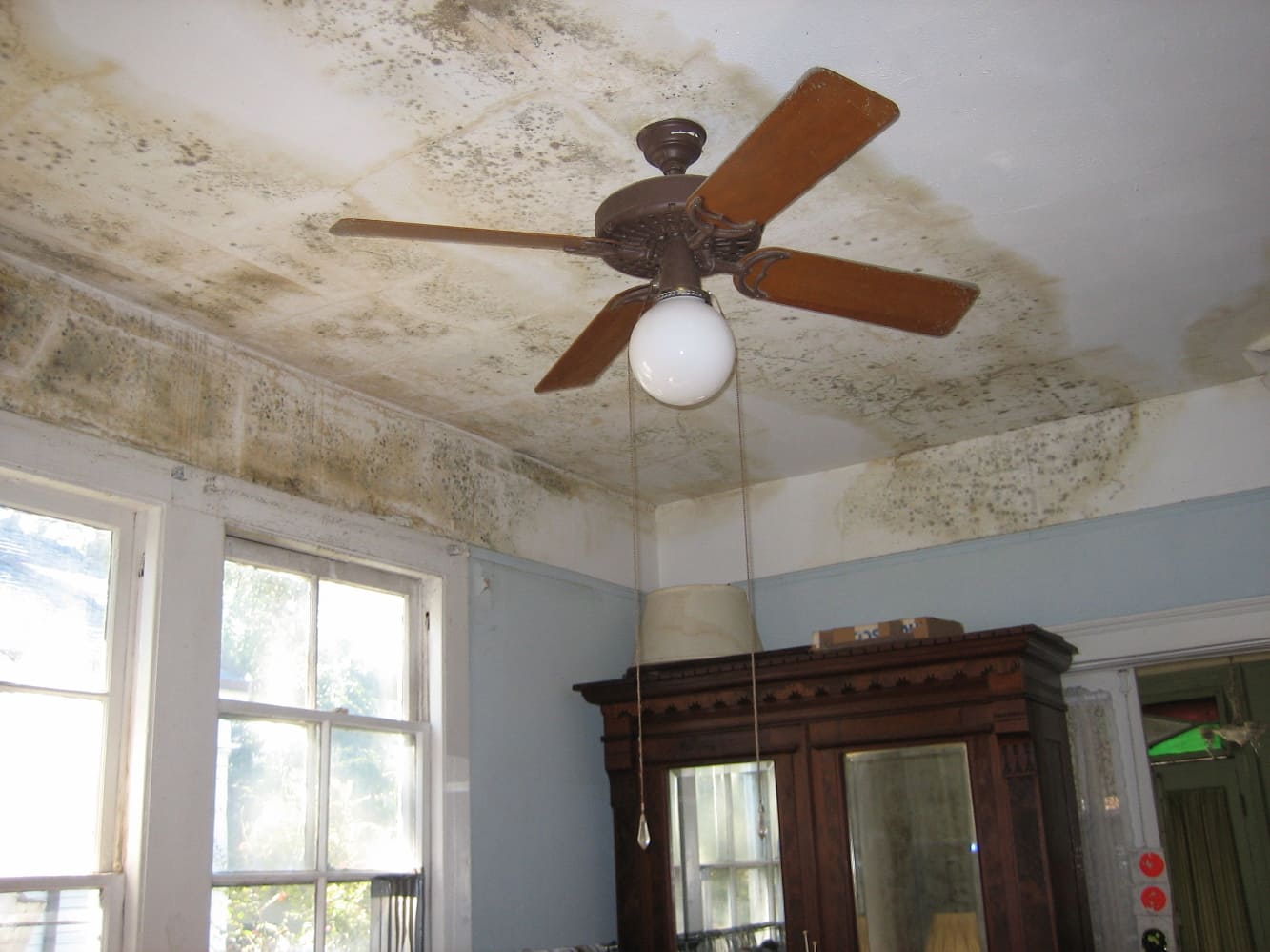 Mold on Ceiling on House